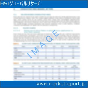 市場と産業調査レポートのイメージ